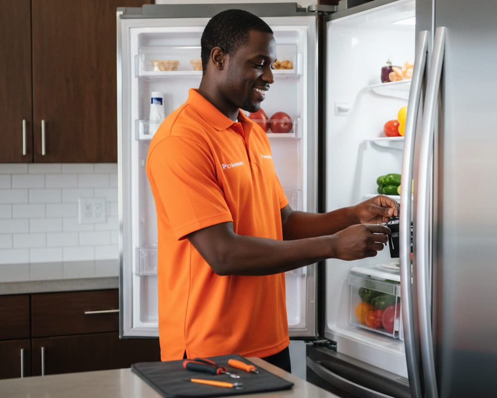 Professional Technician